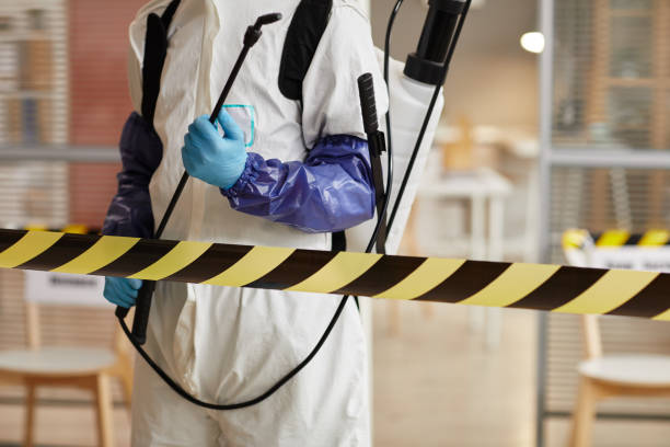 Professional Hoarding Cleanup technician working in Northwood, IA